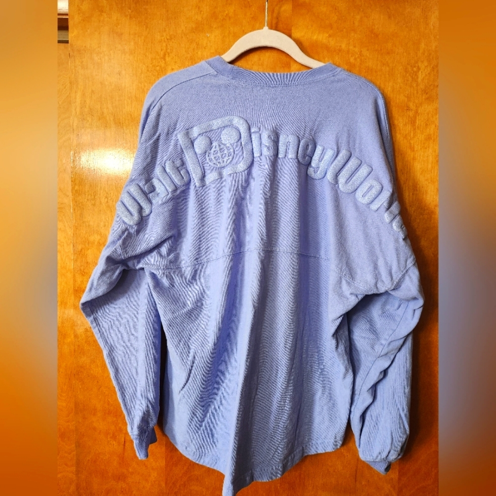 Walt Disney World Spirit Jersey